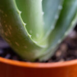 2025年第251期3D开奖结果最新公布 1a5v7o