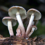 2025年第203期3D开奖结果最新公布 a7e9t92