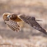 2025年第181期三地同步开奖结果揭晓 bpoql3jy