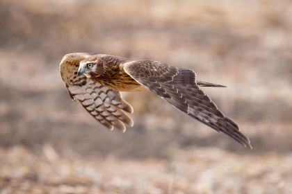 2025年第181期三地同步开奖结果揭晓 2025年第181期三地同步开奖结果揭晓