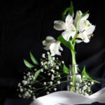 2025年福彩3D开奖结果查询与最新动态追踪 eeq870170q