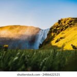 2025年第55期彩票开奖结果查询与中奖号码公布 sph71av