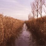 GTv在线直播平台:高清流畅的实时互动体验 t6a59l