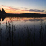 2025年福彩双色球第099期开奖号码查询与结果公布 uof781